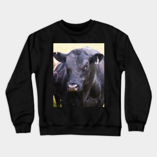 Angus Bull Crewneck Sweatshirt